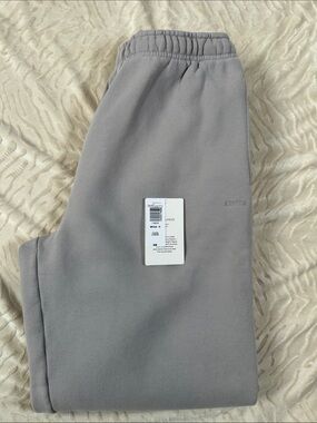 Aritzia Sweatfleece Mega Joggers in Ashen Size M